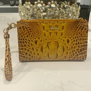 Brahmin Clutch